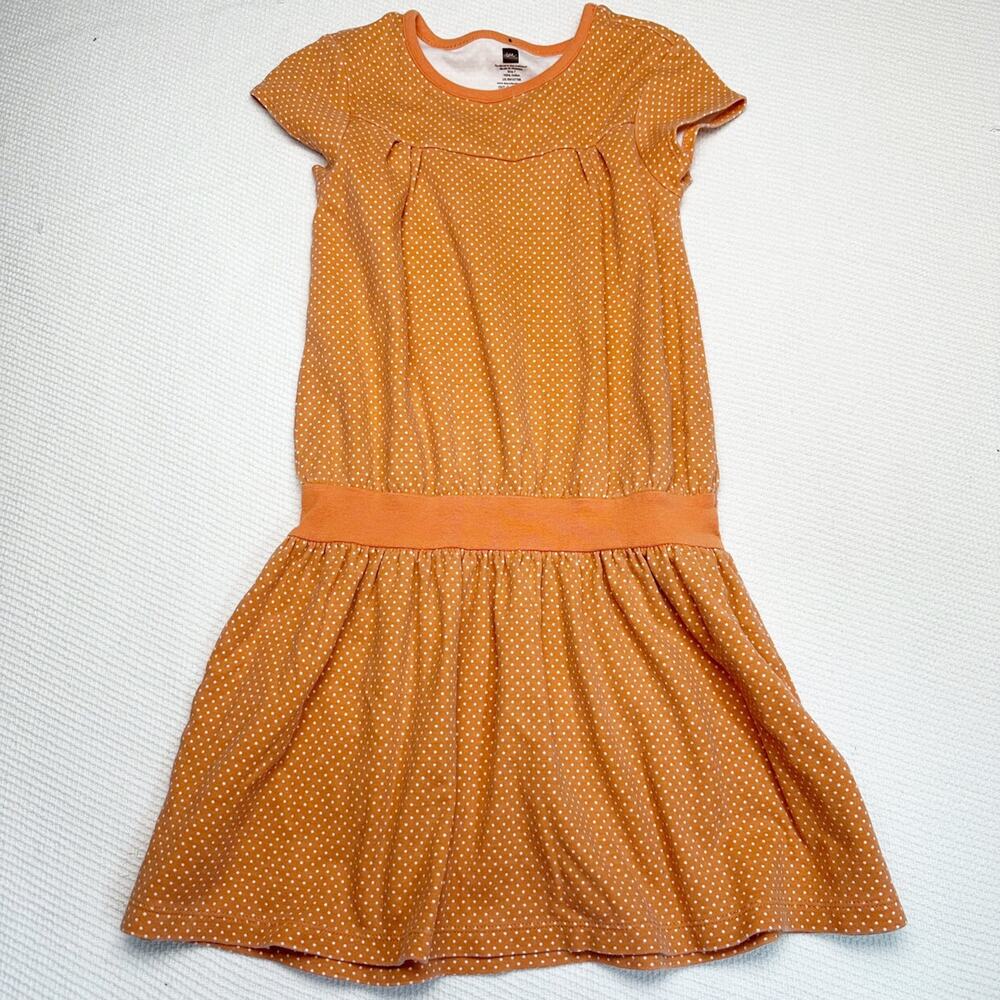 Tea Collection Dress